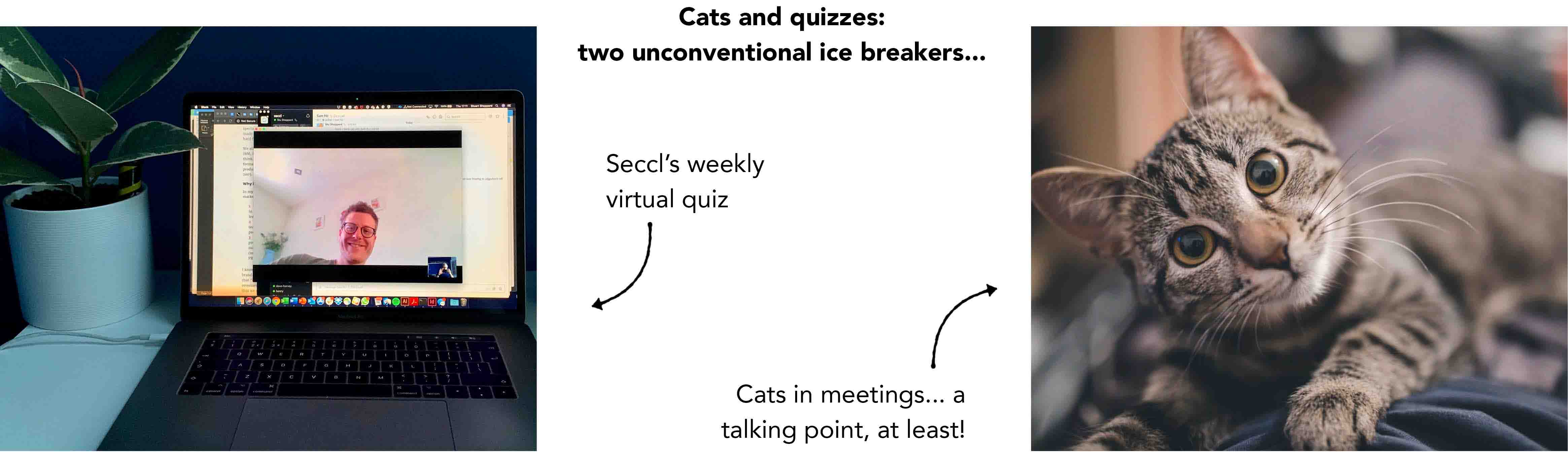 Seccl's weekly virtual quiz – and the odd pet cat – have helped to break the ice...