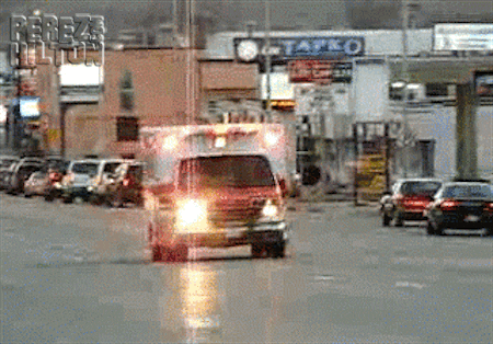 Gif of dog driving an ambulance very fast