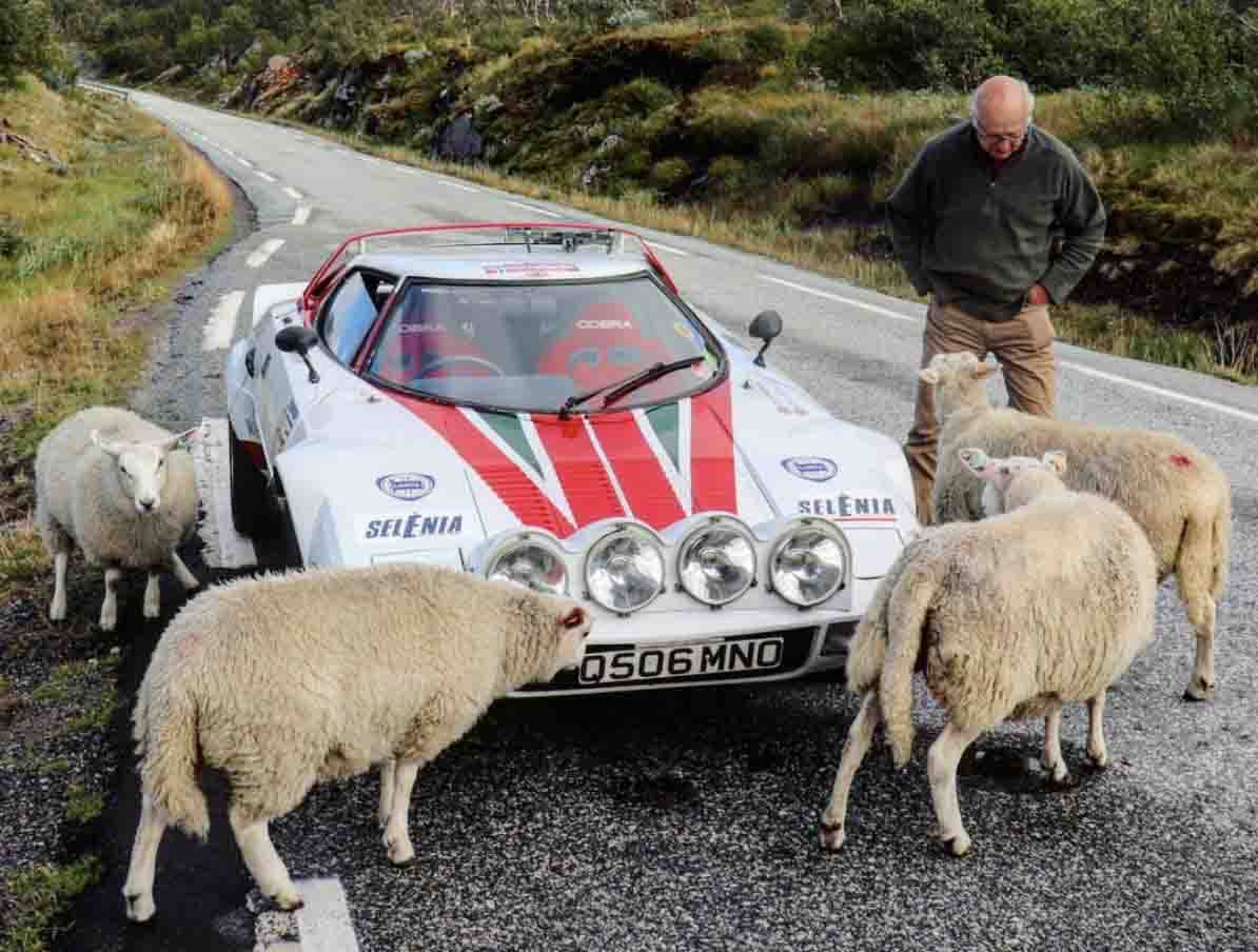 Where JJ and his Lancia go, animals seem to follow...
