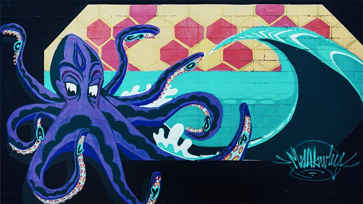 Marking five years of growth, expansion and disruption with Octopus  