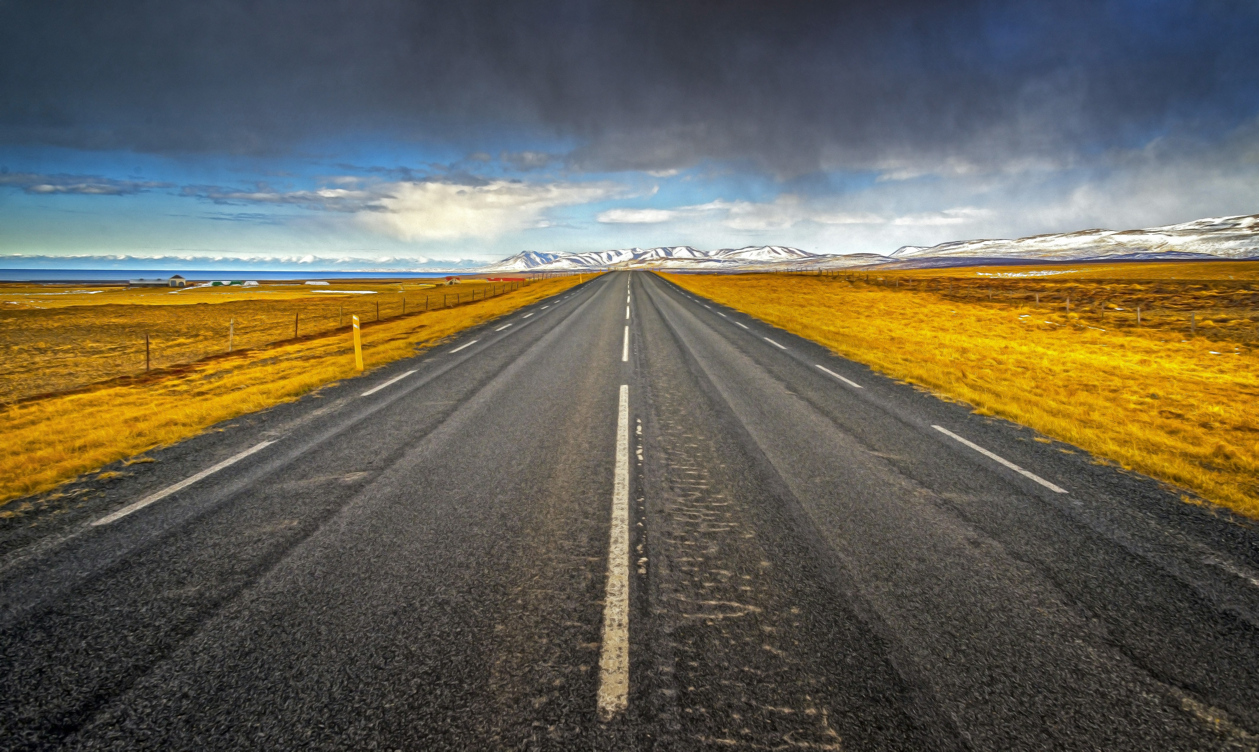 What to expect next from Seccl: a sneak peek at the road ahead